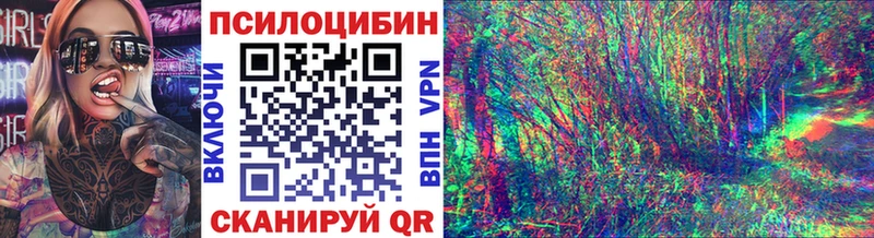 блэк спрут ТОР Калязин Псилоцибиновые грибы Psilocybine cubensis